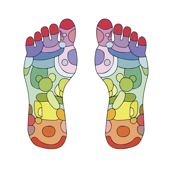 Reflexology foot massage points